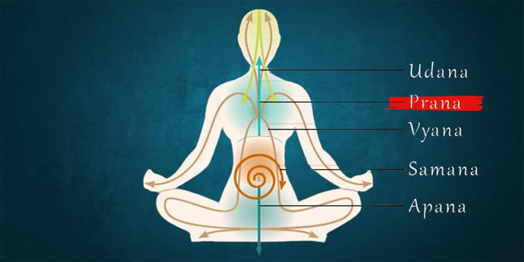 Understanding Vāyu – The First of the Pancha Pranas