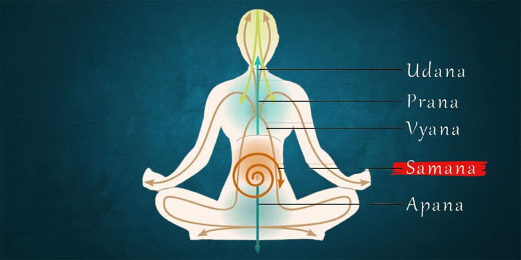 Understanding the Third Panch Prana – Samana Vayu: The Balancer of Life Force