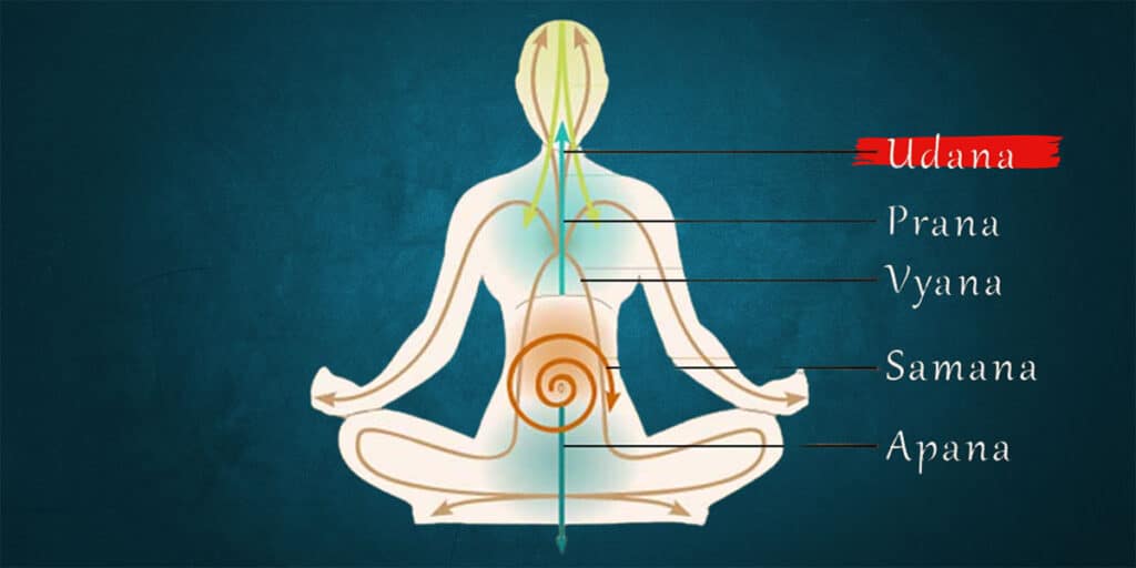 Understanding Udana Vayu – The Fourth Panch Prana and Its Spiritual Significance