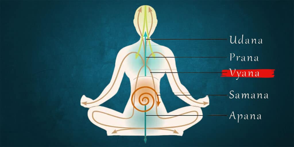 Understanding Vyana Vayu – The Fifth Panch Prana and Its Role in Yogic Living