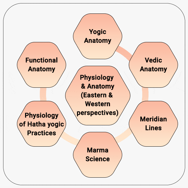 Physiology-and-Anatomy